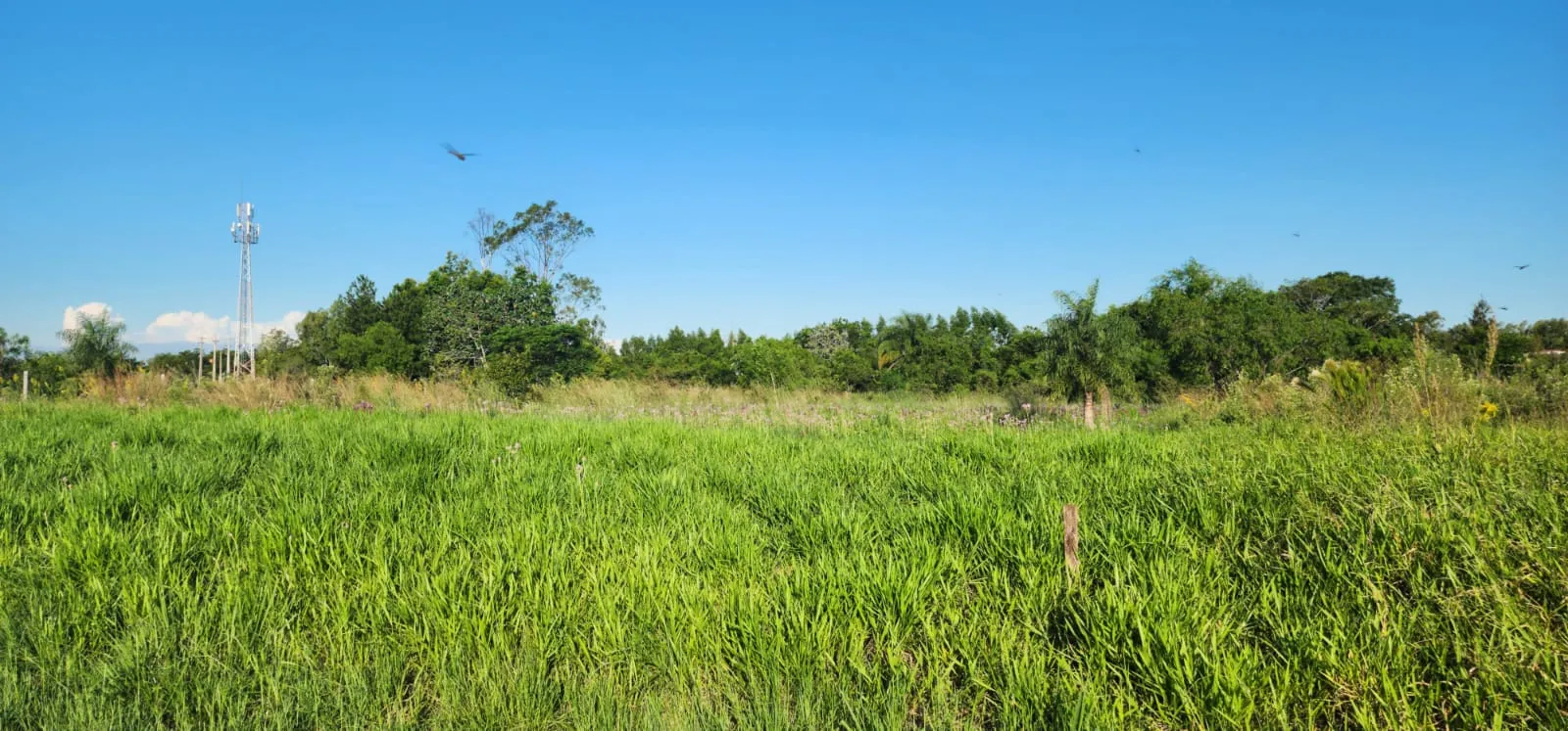 En venta terreno de 3.051m2 en Urbanización Surubi’i