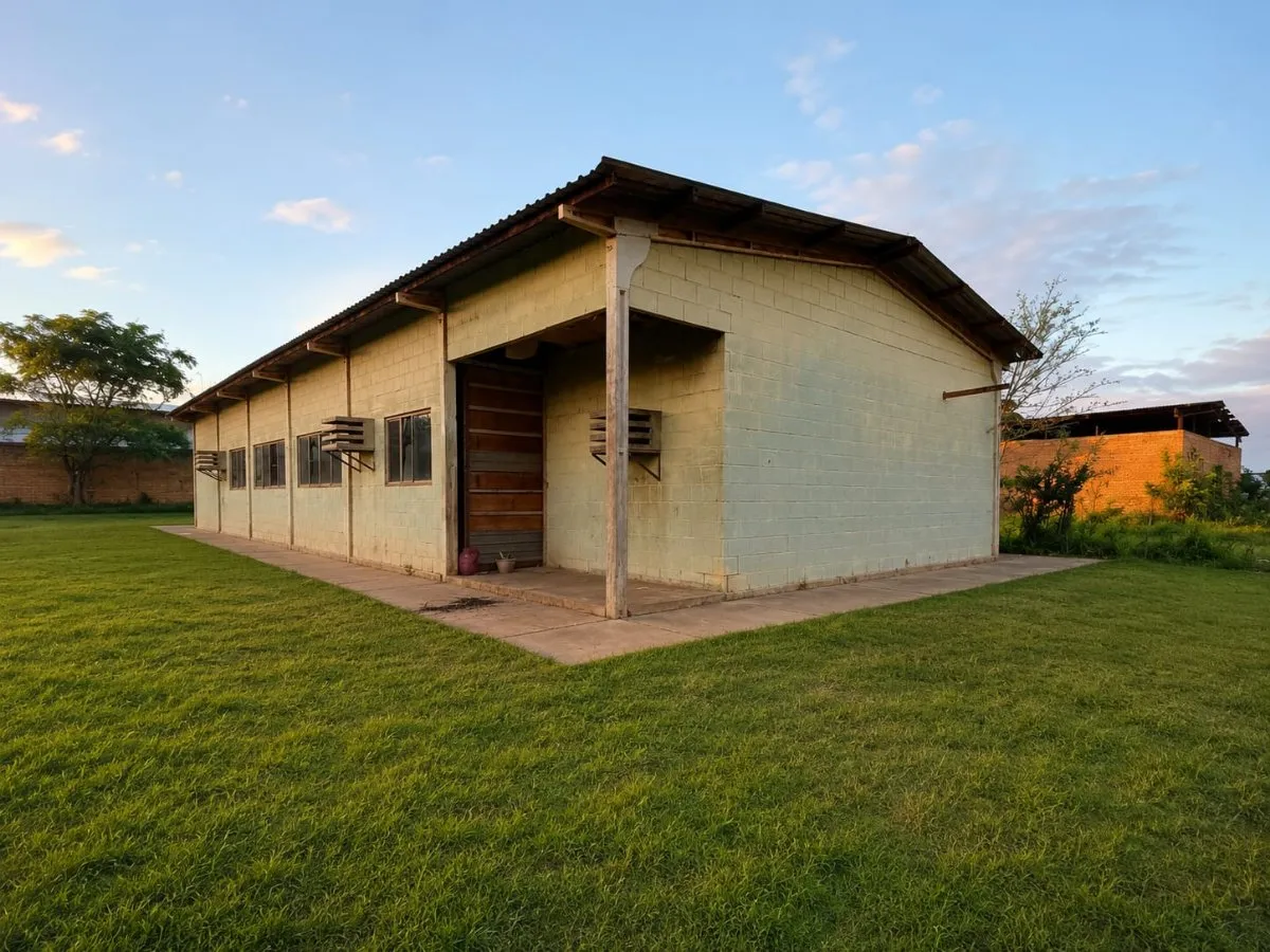VENDO 2 TINGLADOS EN SUPERFICIE DE 4200 M2, EN BELLA VISTA N.